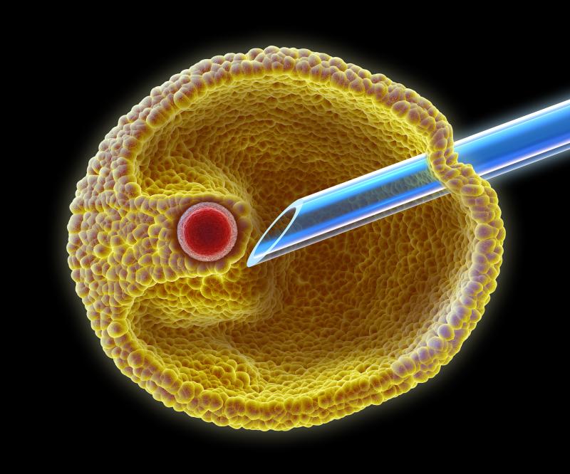 High estradiol levels after IVF up risk of glucose metabolic dysfunction in children