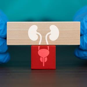 HER2-expressing urothelial cancer gets survival boost with disitamab vedotin–toripalimab combo