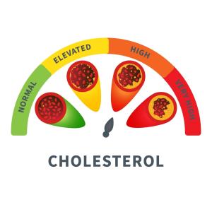 Optimizing LDL-C control with nonstatin oral therapy in high CV risk patients