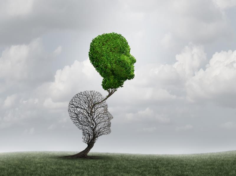 Clinically meaningful benefits and biological clearance of amyloid load after initiating and continuing lecanemab treatment i