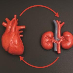 ARNI of benefit in HF patients with CKD
