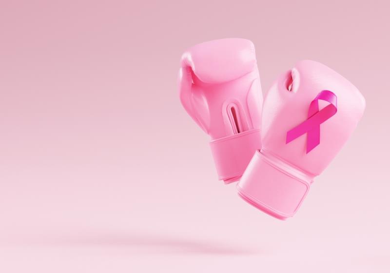 Dual HER2 blockade with pertuzumab and trastuzumab in HER2-positive early breast cancer