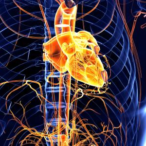 Sacubitril/valsartan may reverse heart damage in hypertensive Asians with LVH