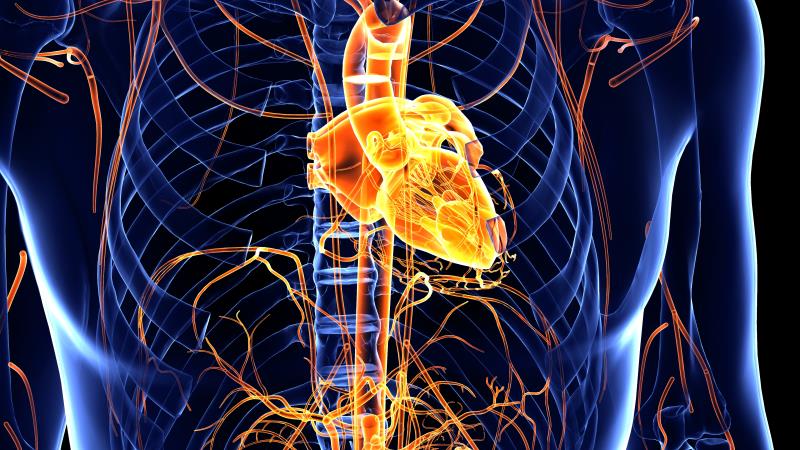 Sacubitril/valsartan may reverse heart damage in hypertensive Asians with LVH