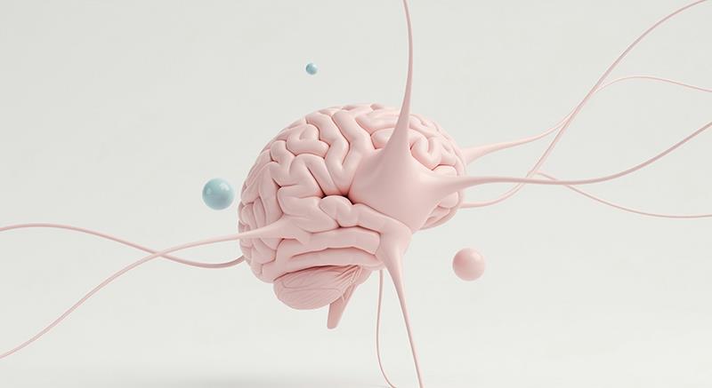 In the treatment of Parkinson&rsquo;s disease (PD), the improvements observed following deep brain stimulation of the subthal