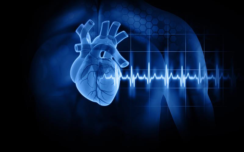Individuals with SARS‐CoV‐2 infection, especially those who are hospitalized, face long‐term declines in left ventricular eje