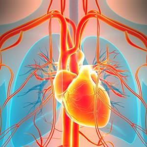 Case-based approaches to T2DM and atrial fibrillation management