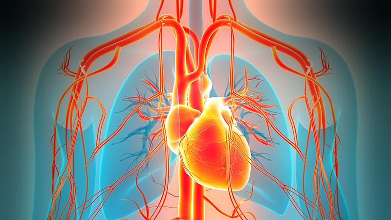 Case-based approaches to T2DM and atrial fibrillation management