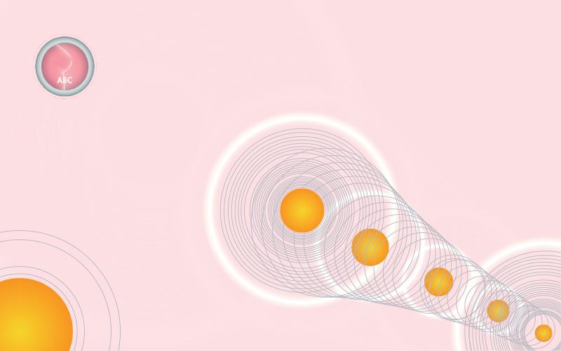 Hormone therapy's impact on young-onset breast cancer risk varies by type