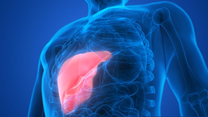 Hepatic steatosis linked to lower mortality risk in patients with chronic liver disease