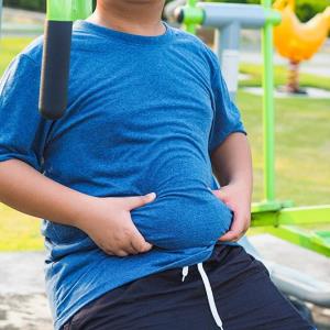 Childhood obesity may affect penis size