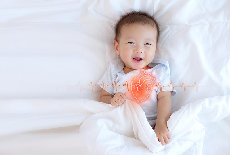 Mild low birthweight carries increased childhood hypertension risk