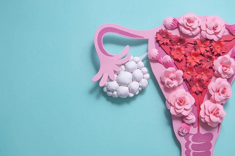 Add-on clomiphene citrate benefits women with anovulation, PCOS