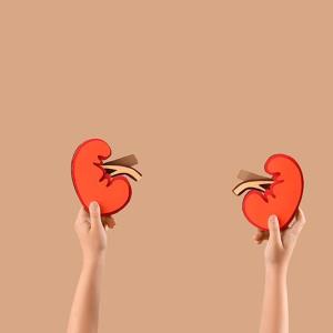 Pegcetacoplan works for teens with rare kidney diseases