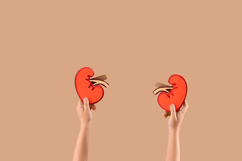 Pegcetacoplan works for teens with rare kidney diseases