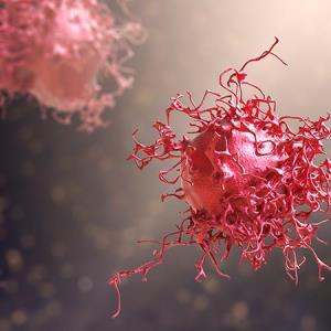 Pembrolizumab + CCRT ups survival in high-risk LACC