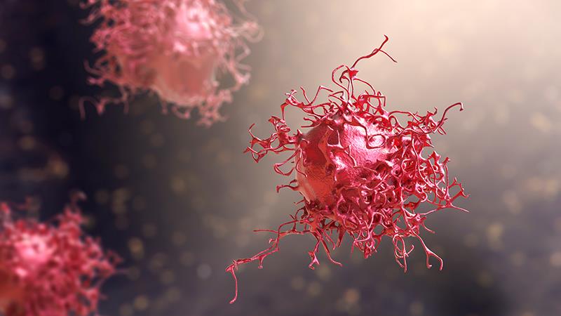 Pembrolizumab + CCRT ups survival in high-risk LACC