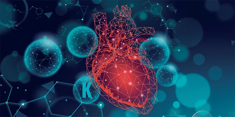 Boosting potassium wards off ventricular arrhythmias in patients with ICD