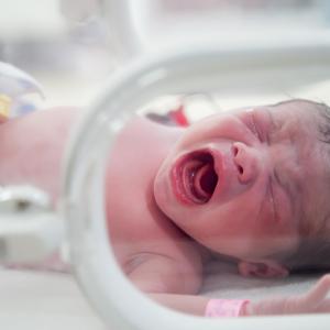 Budesonide plus surfactant does little to reduce BPD, death in preemies