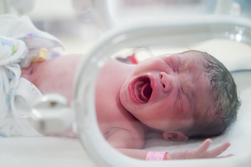 Budesonide plus surfactant does little to reduce BPD, death in preemies
