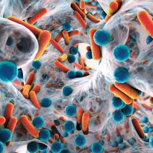 Early antibiotic exposure may put infants at risk of developmental delays