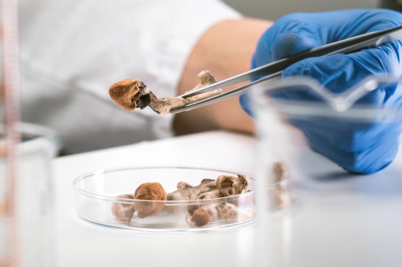 Psilocybin improves depressive symptoms, with minor impact on brain responsiveness