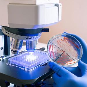 Real-World Evidence in Action: Integrating data into the management of MDR Gram-negative infections