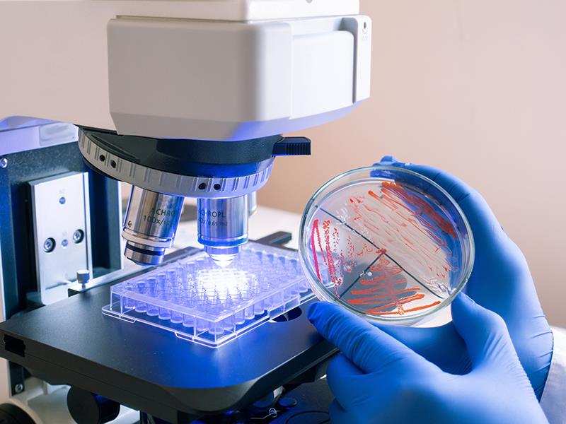 Real-World Evidence in Action: Integrating data into the management of MDR Gram-negative infections