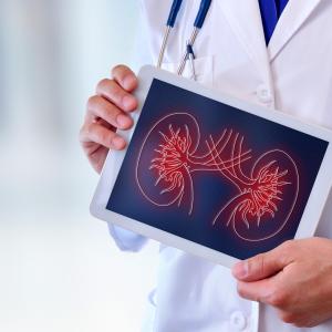 Bevacizumab plus erlotinib shows promise in hereditary, sporadic papillary kidney cancer