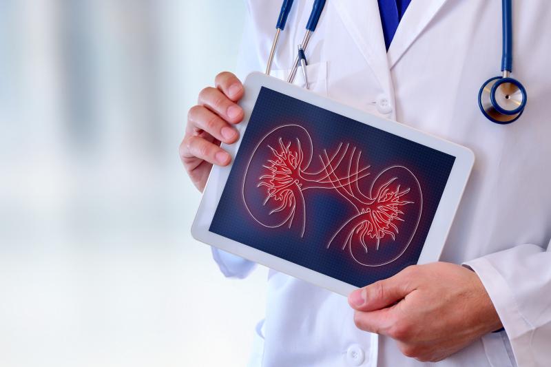 Bevacizumab plus erlotinib shows promise in hereditary, sporadic papillary kidney cancer