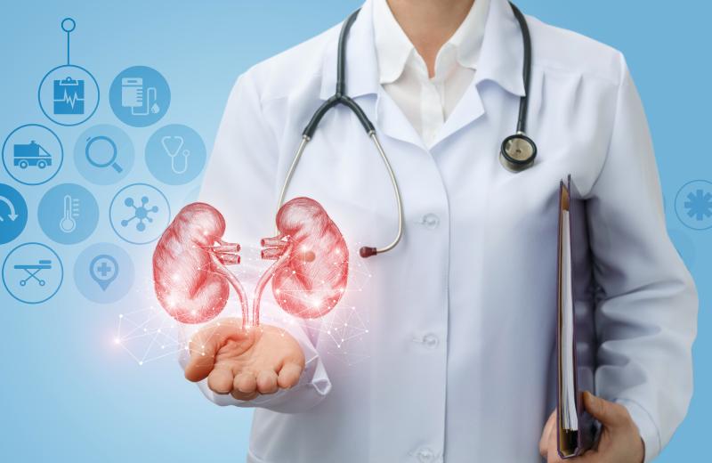 Impaired renal function ups cardiovascular risk in young adults ...