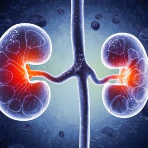 Risk factors for progression in Asians with early-stage CKD identified in study
