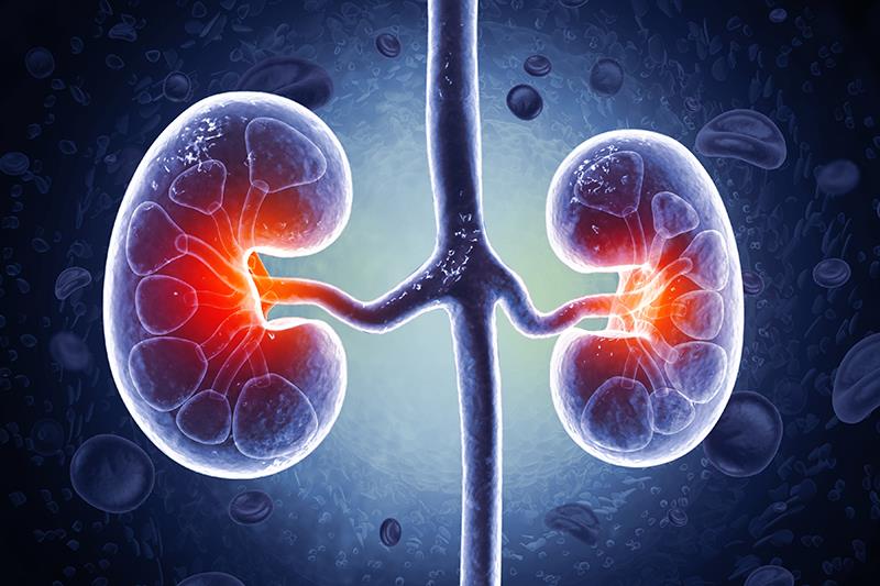 Risk factors for progression in Asians with early-stage CKD identified in study