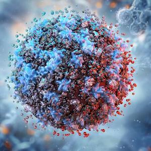 RSV-ARI nearly triples mortality risk in new study