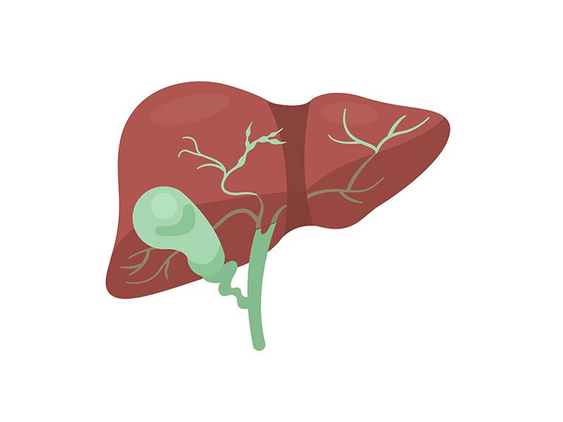 Seladelpar improves cholestatic, liver injury markers in patients with PBC, cirrhosis