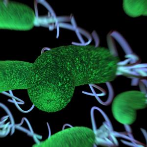 Rifasutenizol tackles H. pylori infection