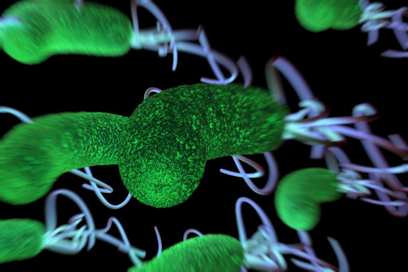Rifasutenizol tackles H. pylori infection