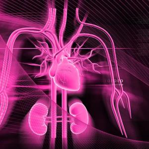 SGLT2 inhibitors confer cardiovascular, renal benefits in stage 4 CKM syndrome