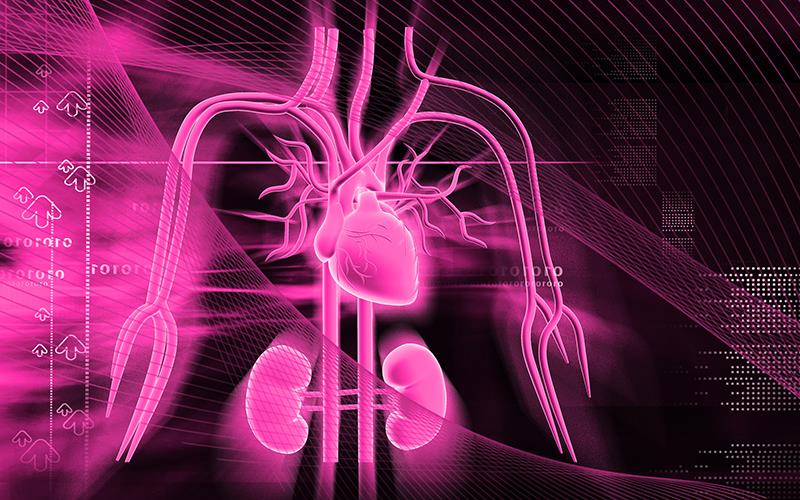SGLT2 inhibitors confer cardiovascular, renal benefits in stage 4 CKM syndrome