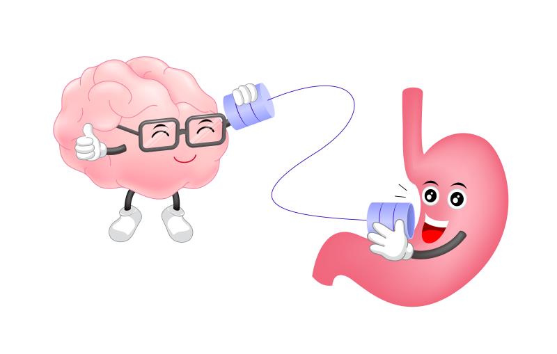 PPIs unlikely linked to increased stroke risk in patients taking antithrombotics