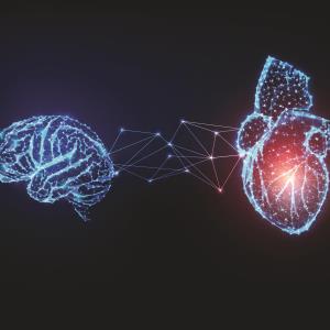 Stroke-heart syndrome associated with increased risk of incident dementia