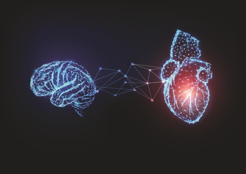 Stroke-heart syndrome associated with increased risk of incident dementia