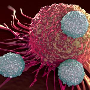 Linperlisib plus chidamide shows therapeutic potential in cutaneous T-cell lymphoma