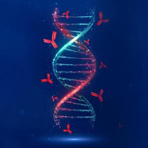 การประเมินความรุนแรงของภาวะ Angioedema ด้วยภาพถ่าย เครื่องมือใหม่สำหรับการวินิจฉัยภาวะ Non-Mast Cell Mediator-Induced Angioed