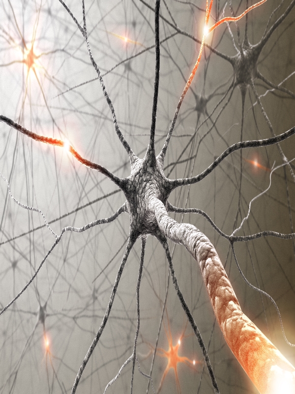 Diabetic Neuropathy