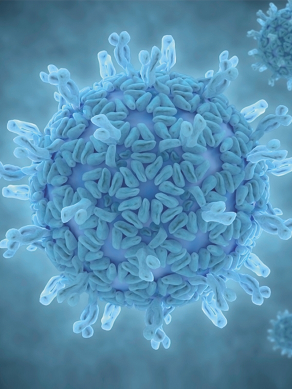 Gastroenteritis - Viral