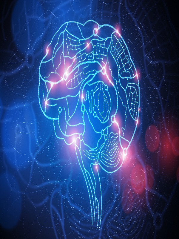 Parkinson's Disease & Parkinson's Disease Dementia