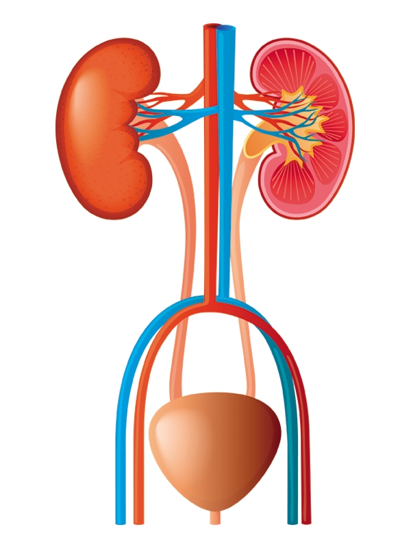 Urinary Incontinence