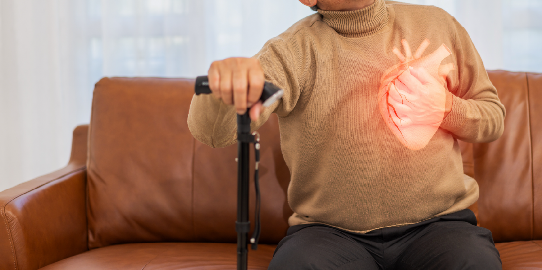 Cardiovascular Disease Prevention_Disease Background