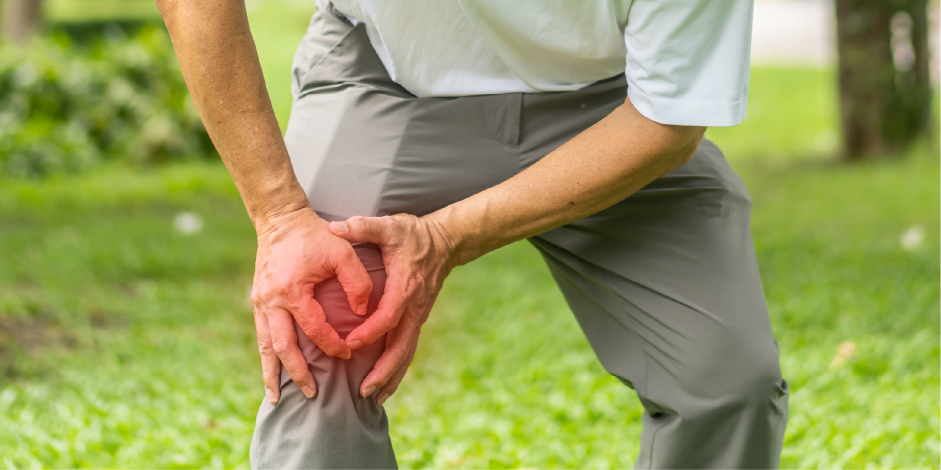 Infectious Arthritis_Disease Summary